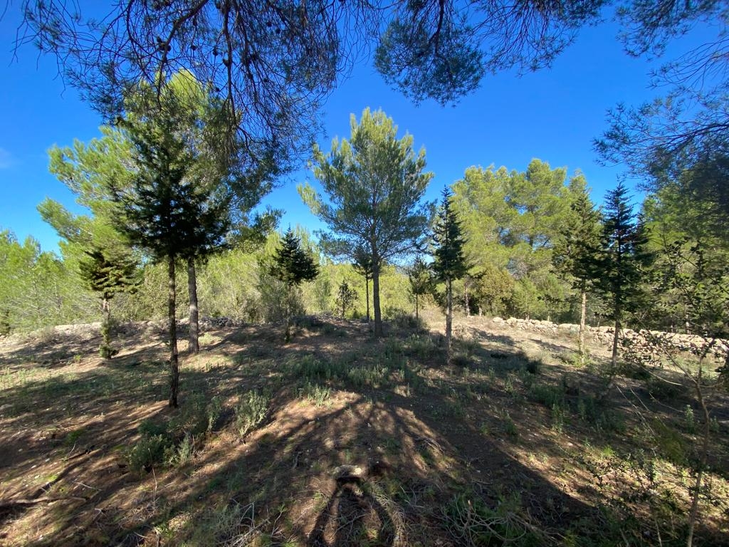 Very rare opertunity to create your own heaven on Ibiza ! A blank canvas to build