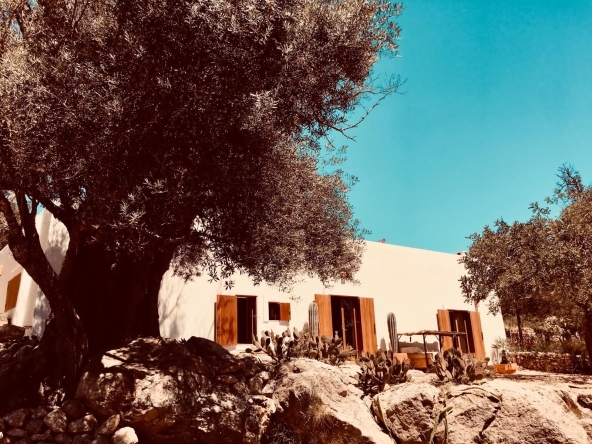 This unique ecological finca is located in the heart of Ibiza and in this area houses