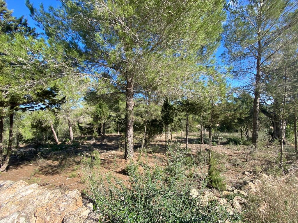Very rare opertunity to create your own heaven on Ibiza ! A blank canvas to build